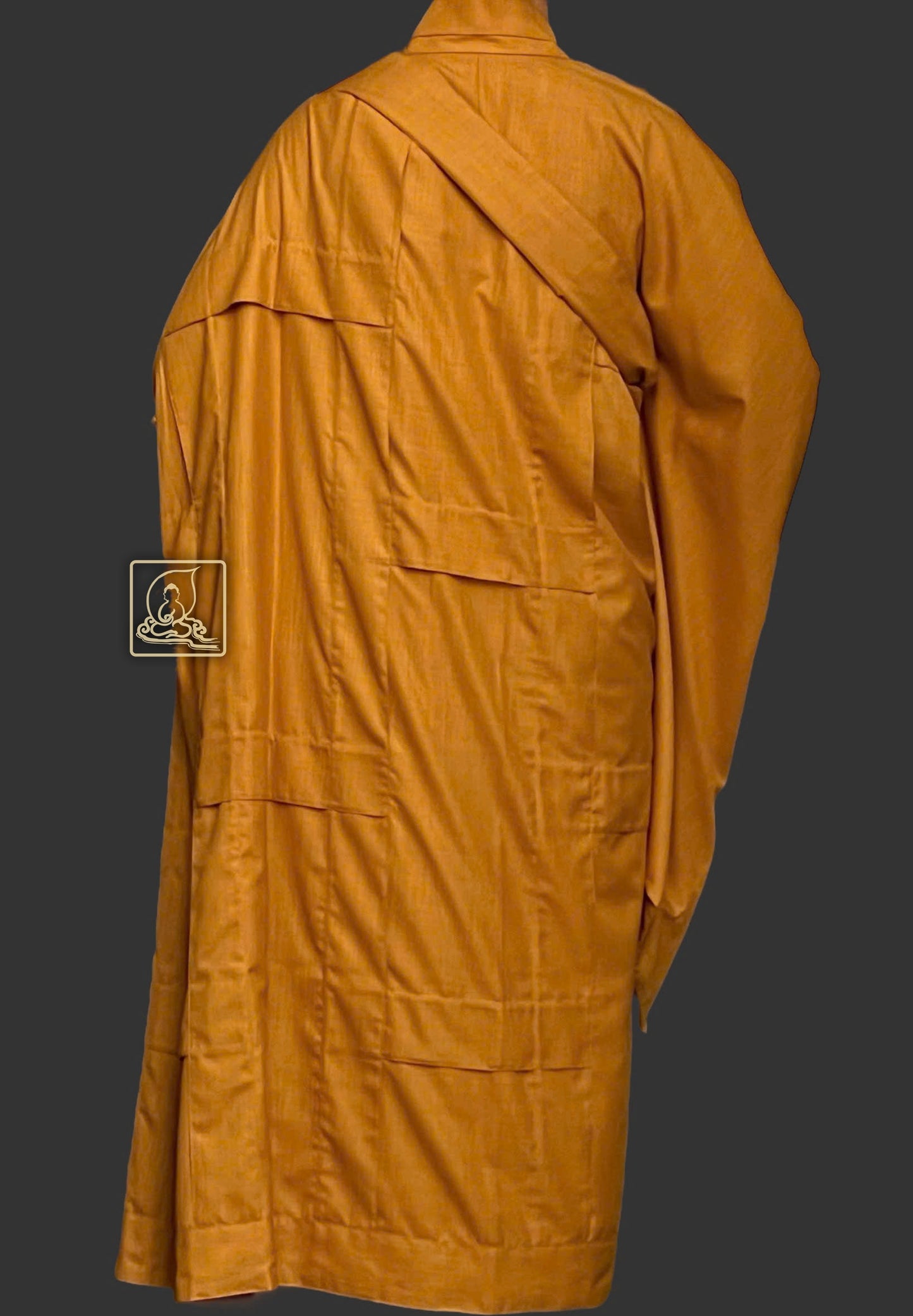 ĐẠI THỪA NHƯ PHÁP Y - CK06 GÂN