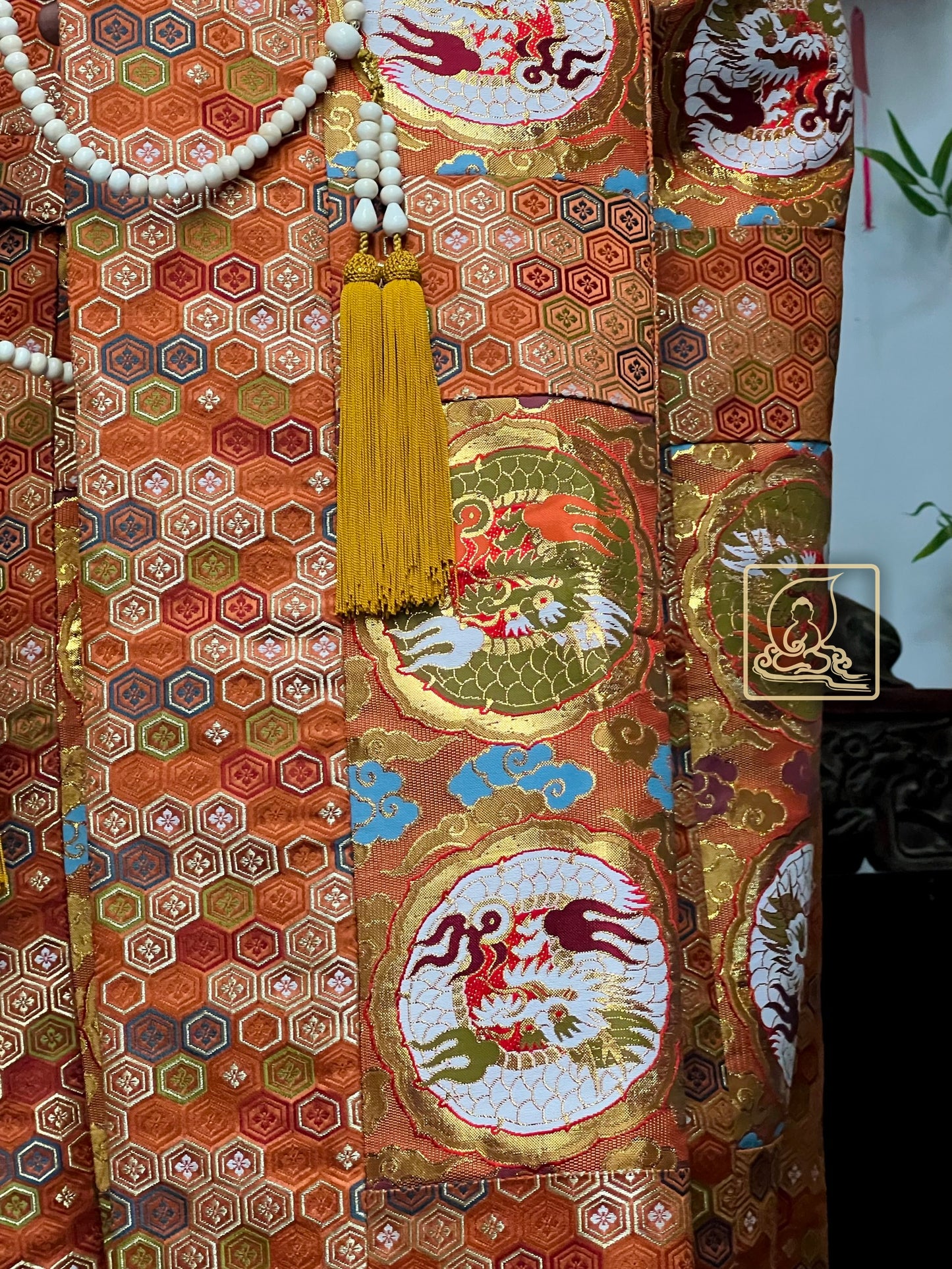 MÃNH LONG THƯỜNG ĐỊNH PHƯƠNG TIỆN PHÁP Y - JS102