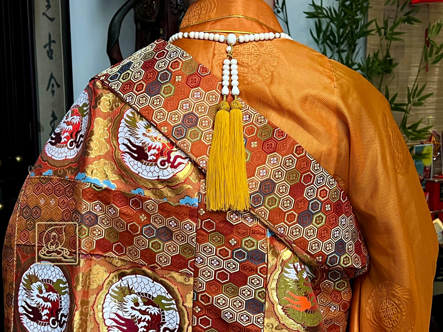 MÃNH LONG THƯỜNG ĐỊNH PHƯƠNG TIỆN PHÁP Y - JS102