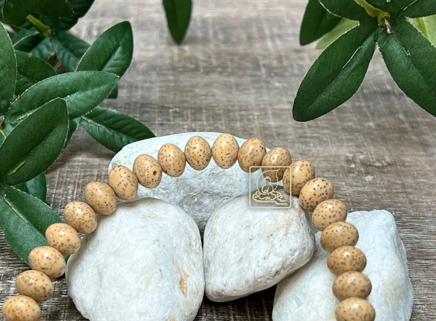 BỒ ĐỀ TINH NGUYỆT NIỆM CHÂU - PB459