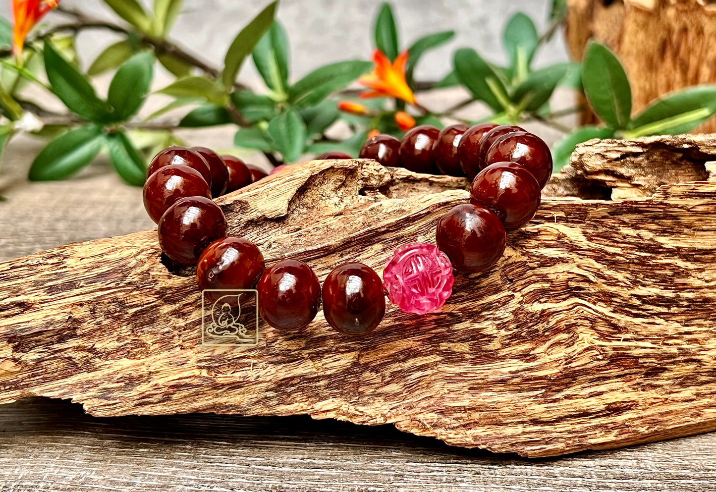 COCOA NGỰ NIỆM CHÂU - PB589