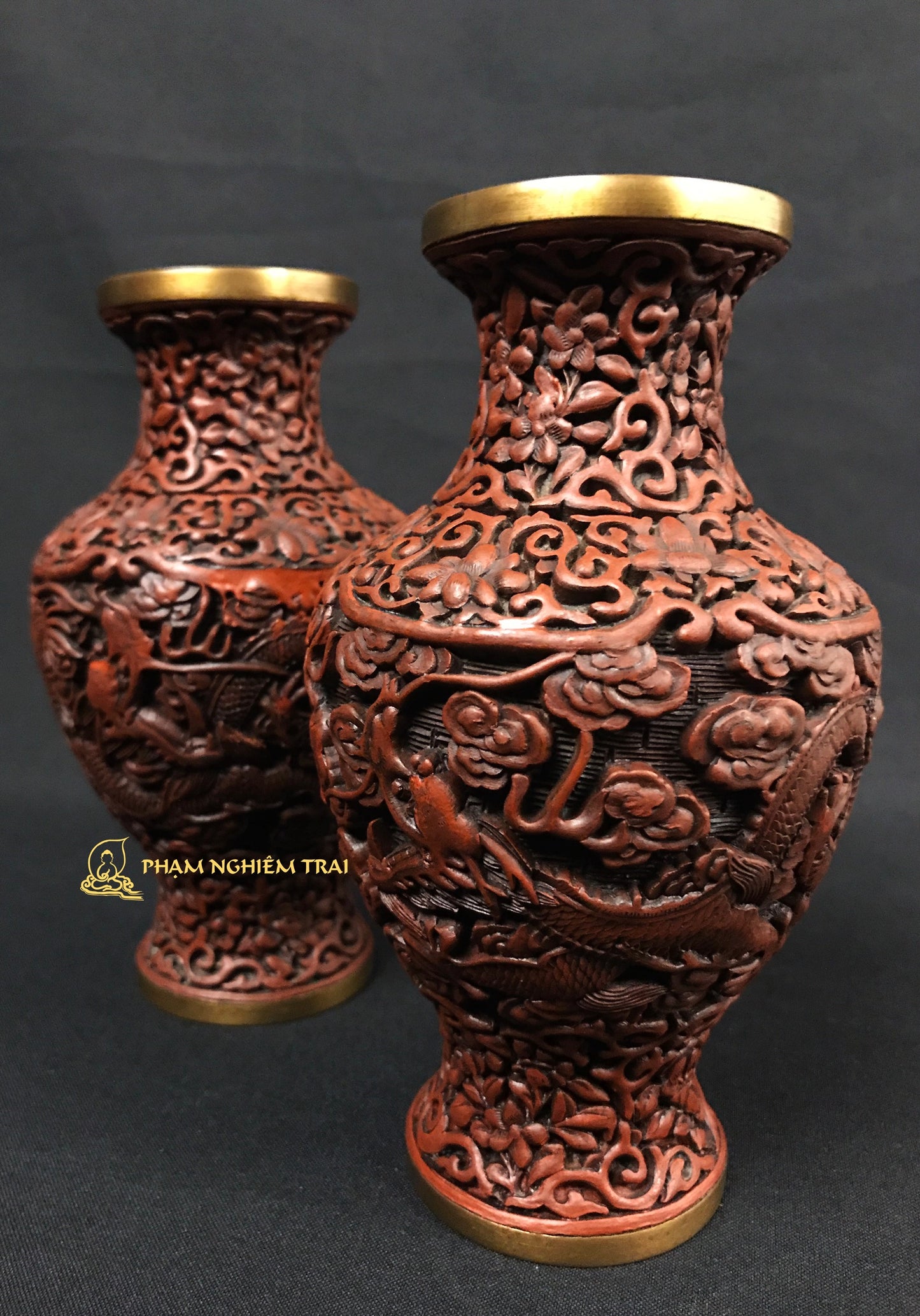 LONG TƯỜNG CHU SA BẢO BÌNH - NCT094
