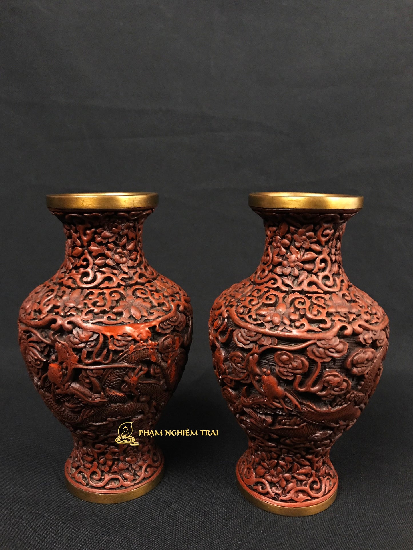 LONG TƯỜNG CHU SA BẢO BÌNH - NCT094