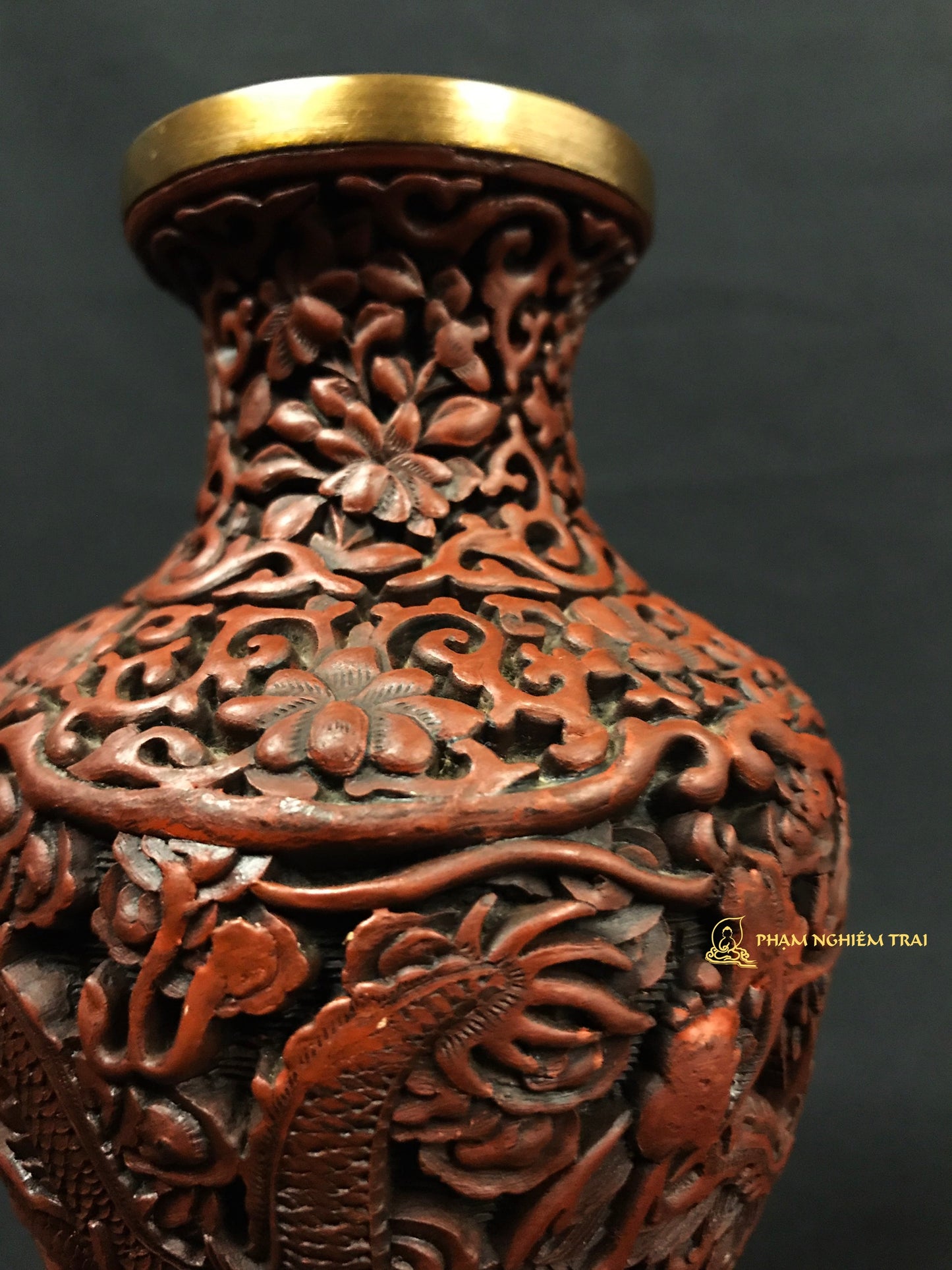 LONG TƯỜNG CHU SA BẢO BÌNH - NCT094