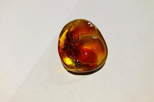 HỒ LÔ (AMBER) - PB247