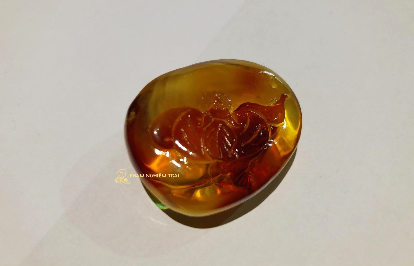 HỒ LÔ (AMBER) - PB247