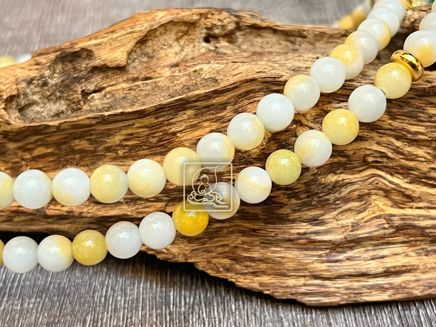 HOÀNG PHỈ NGỌC LAM BẢO TRÀNG - PB619